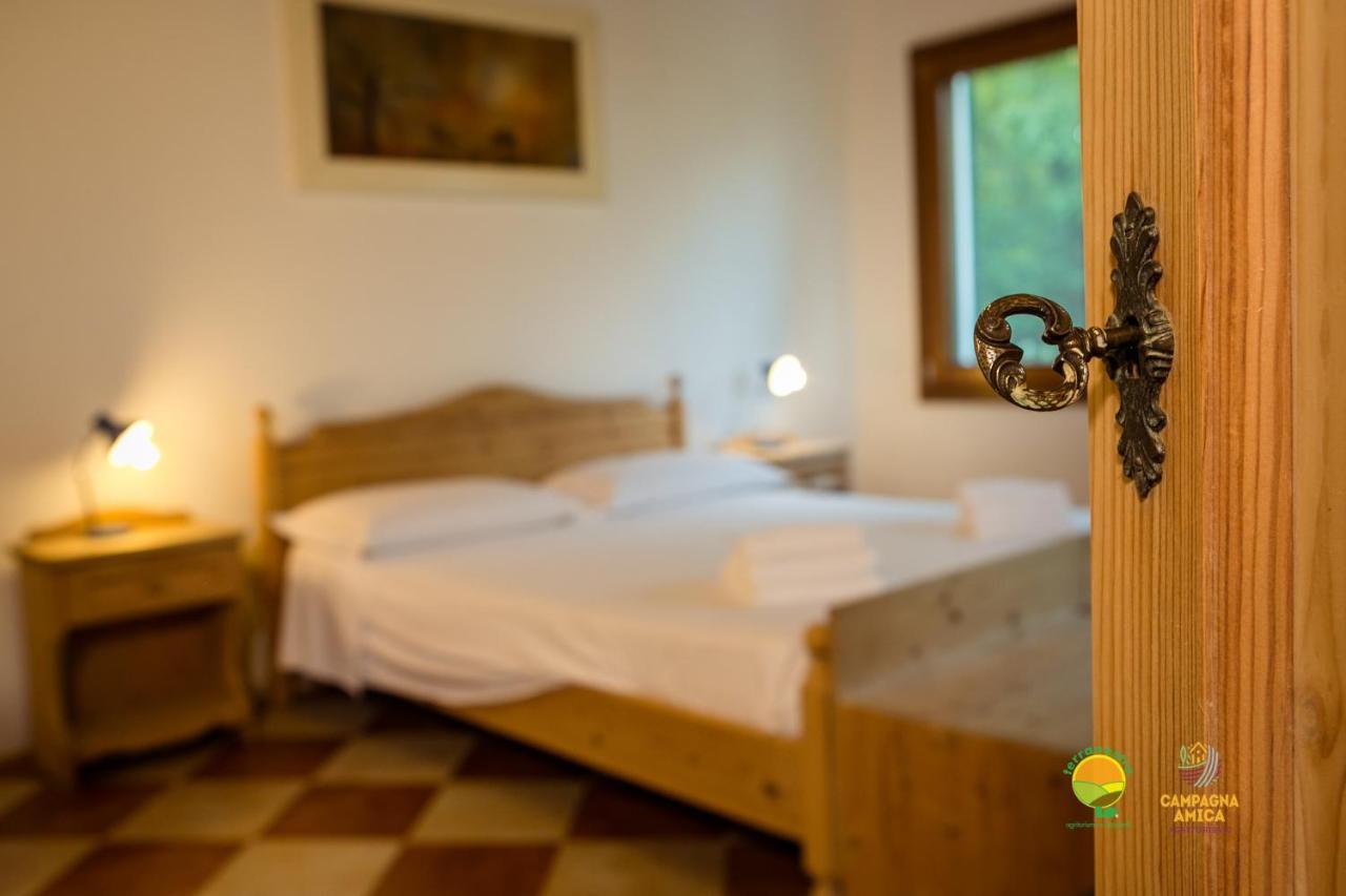 La Via Antiga Leilighet Cittanova  Eksteriør bilde